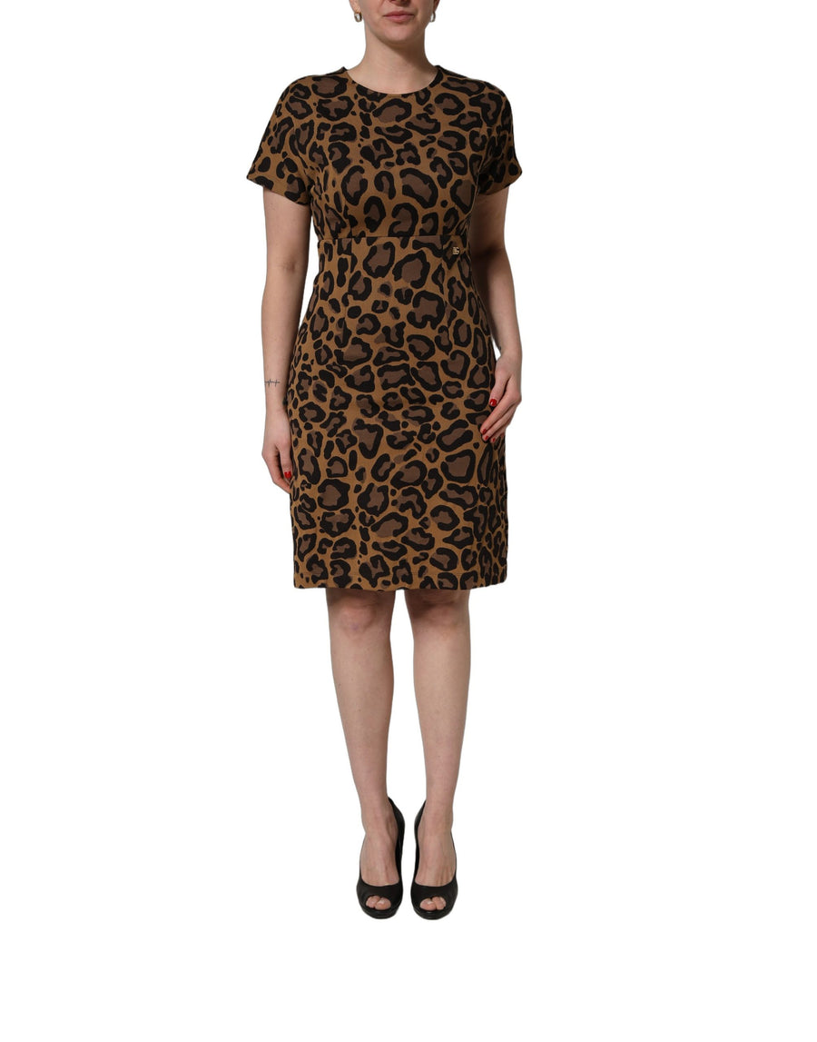 Dolce & Gabbana Brown Leopard Jacquard Knee-Length Dress
