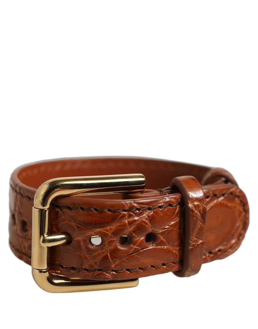 Dolce & Gabbana Brown Textured Leather Bracelet with Gold Buckle