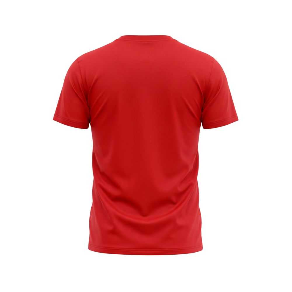 Iceberg Red Cotton T-Shirt for Men