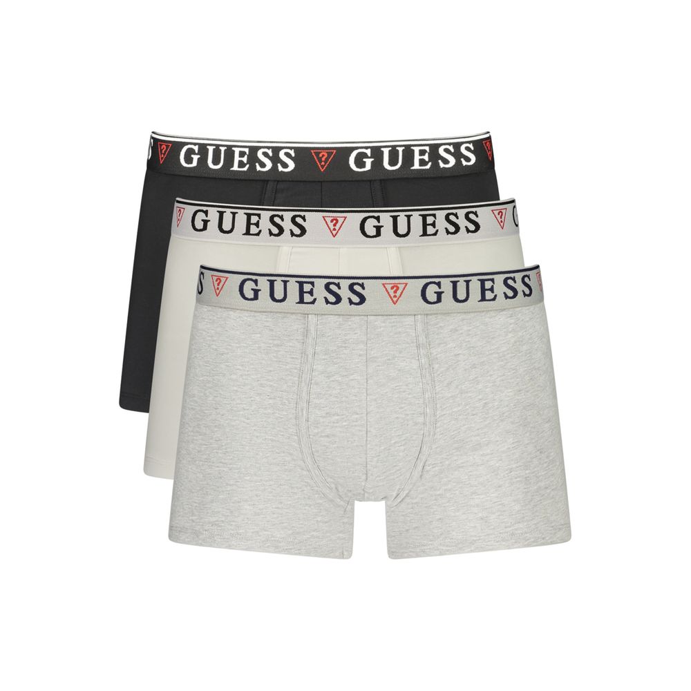 Boxer