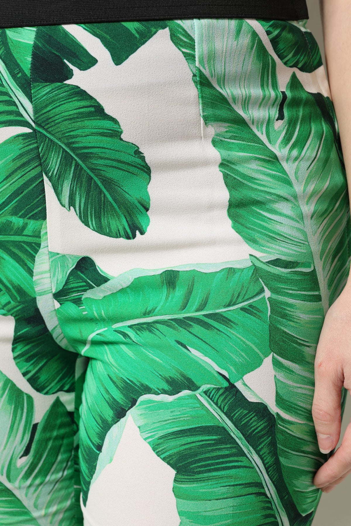 Dolce & Gabbana White Green Leaf High Waist Trousers